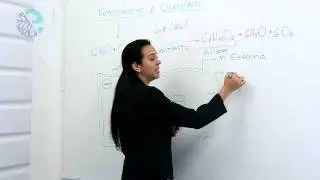 Fotossíntase e cloroplasto