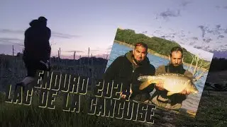 PÊCHE DE LA CARPE : enduro de la ganguise 2024 #pêche  #carp #fishingvideo