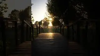 music nostaugic [2024...] hause dance
