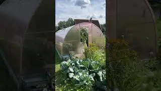 БРАТЬЯ ТАКСИСТЫ КАК БИЗНЕС? / ДИМОН ТАКСИ