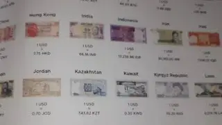 Different Currencies used in Different Countries#activity#holidayhomework(@AaDeviPalace)