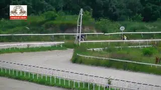 18.06.2023 - Ограничительный приз на кобылах 2-х лет ахалтекинской породы - Дагайра