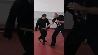 Possibilities against knife. #ninjutsu #shadowwarrior #bujinkan #bujin #martialarts #ninja #knife