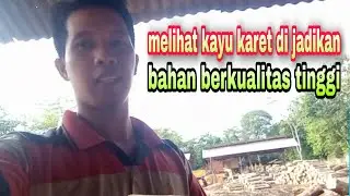 proses Kayu karet di jadikan bahan berkualitas