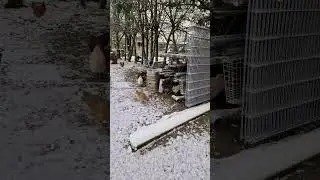 ПЕРВЫЙ СНЕГ