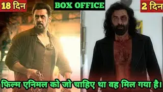 Animal vs Tiger 3 Box Office Collection | Animal Advance Booking Report | Tiger 3 Collection
