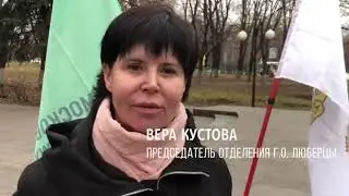 Высадка аллеи - детки кремлёвской ёлки