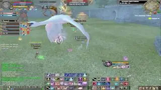 Assassin TW Cata Pull