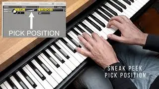 Sneak Peek: Stratocaster Guitar Samples for Kontakt - Pick Position Feature Unveiled! Pettinhouse