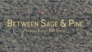 Trailer: Between Sage & Pine, Bowhunting Giant Nevada Elk