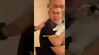 🐱Kitty Is Jealous of Her Human😄
