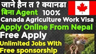 Canada Agriculture Work Visa 2023 (No Education) Free Sponsorship Unlimited Jobs For Nepalese