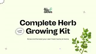 How to grow herbs at home
