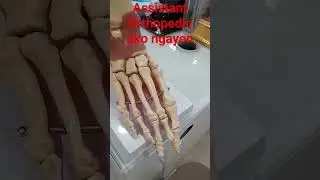 Orthopedic Clinic