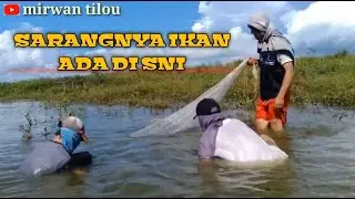 JALA IKAN NILA JALA IKAN GABUS JALA IKAN PATIN JALA IKAN MAS JALA DI SUNGI JALA DI DANAU DURIANGKANG