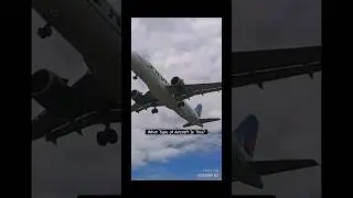 ✈️ Me Racing An Airplane 🤷🏽‍♂️ #aviation #airport #aircraft #flight