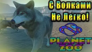 Прохождение Planet Zoo В 2022! С Волками Не Все Так Просто!