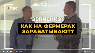ЗЕНЧЕНКО: фермеры vs торговые сети, субсидии на молочное животноводство и засуха | ElDala.kz