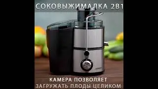 Соковыжималка для овощей и фруктов 2 в 1 - Delatec