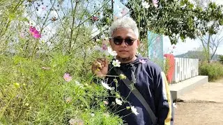 Hnahsin Kut Kan Kal Tlai.