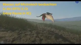 Neue Fauna in Star Citizen (EPTU3.23): Beobachtung von Marocs (Flugfähige Lebewesen)