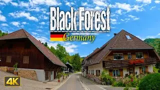 Driving through the Black Forest in Germany 🇩🇪 FULL-length 6 Hour Drive [Driver's View]