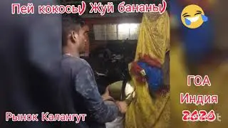 Кокосы ГОА Индия январь-февраль 2020 Калангут