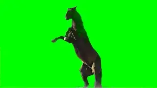 🌟✨ HORSE 🌟✨ Frame Animation MOTION 💯| 