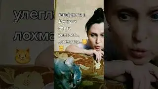 подлокотник — это место для подлого котика🐱