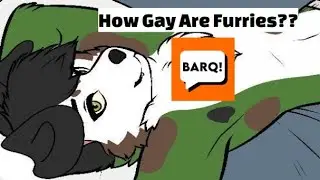 Single Gay Furries In Your Area!