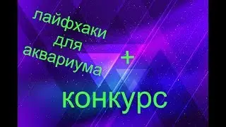 Розыгрыш фишек.Лайфхаки для аквариума