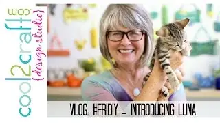 Vlog: #friDIY Update - Introducing Luna