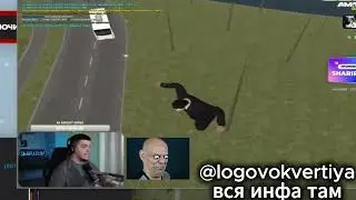 РАЗНЕС ШАРИПОВА | АМАЗИНГ РП | AMAZING RP | ЧИТ