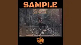 Sample 253 (feat. Mid Side Music)