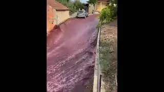 Виноя река,на местном винзаводе лопнули два резервуара.