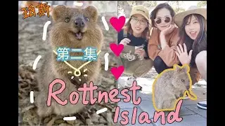 【珀斯】8天旅行 EP.02 | 🛳Rottnest Island🌊 | 微笑袋鼠🐭 | 超級萌 | 一天來回