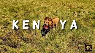 Maasai Mara & Nairobi | A Complete Guide | Kenya 2024 | Two Off To