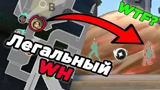БАГ НА ЛЕГАЛЬНЫЙ WH | VALORANT WTF & FUNNY MOMENTS
