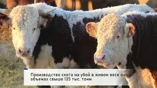 Итоги недели 18-24 декабря 2023 г.
