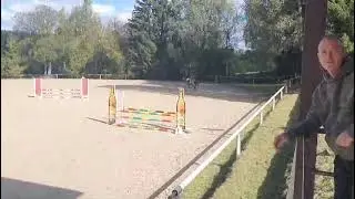 5 yo gelding with 13 yo boy FOR SALE