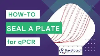 Sealing the plate [qPCR]
