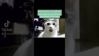 Мем №11 