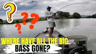 WHERE have all the BIG BASS GONE!?! #fishing #bassfishing