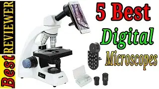 5 Best Digital Microscopes 2021