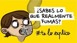 Qué hay dentro de un cigarrillo (incluso liado) | #TELOEXPLICO