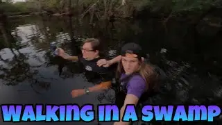Walking in a swamp!!