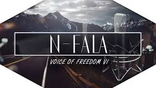 Voice of freedom #1015 Kot w wózku