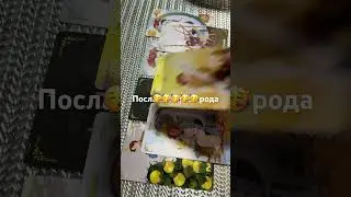 4 ноября 2023 г.