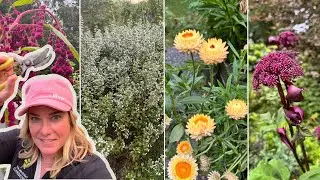 Strolling through the garden with an eye on what comes next