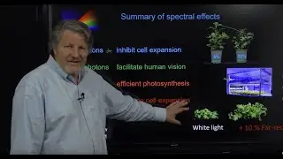 Toward an Optimal Spectral Quality for Plant Growth and Development